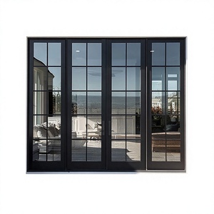 Sunnysky Modern Style NFRC Aluminum Doors Interior Framed Crittall Style French Glass Doors for Villas