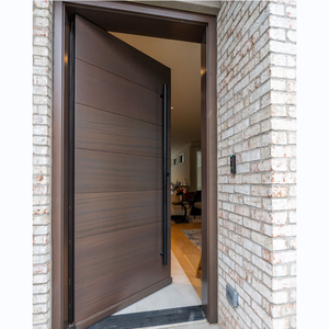 Modern Design House Entrance Front Pivot Door