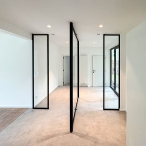 Tempered Low E Glass Pivot Swing Front Back Doors