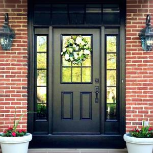 Stainless Steel Front Entry Door Aluminum Frame