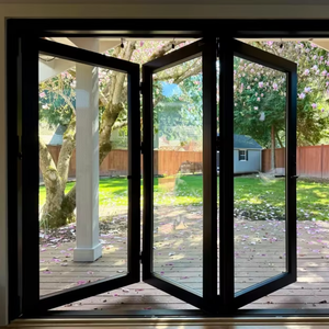 Aluminum Alloy Double Tempered Glass Sliding Door